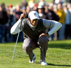 Tiger Woods, pictures, picture, photos, photo, pics, pic, images, image