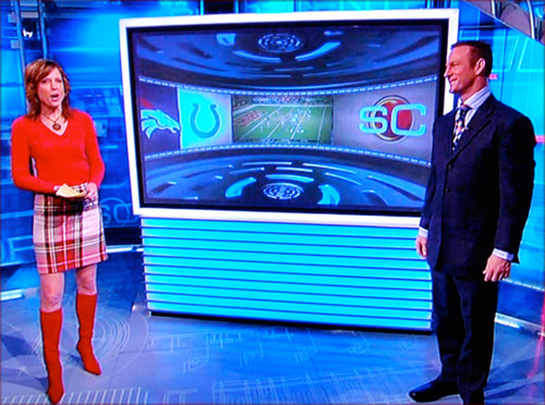 Hannah Storm, outfit, Tony Kornheiser, pictures, picture, photos, photo, pics, pic, images, image, hot, sexy, latest, new, 2010