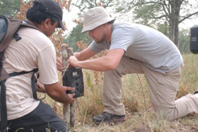 Leonardo DiCaprio, plane, scare, World Wildlife Fund, tigers, pictures, picture, photos, photo, pics, pic, images, image, hot, sexy, latest, new, 2010