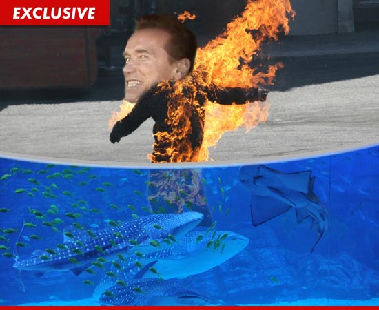 1123-arnold-stuntman-EX