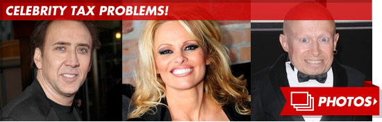 1002_TAX_PROBLEMS_FOOTER