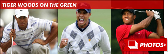 1205_tiger_woods_footer
