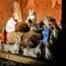Cats in Brooklyn Manger