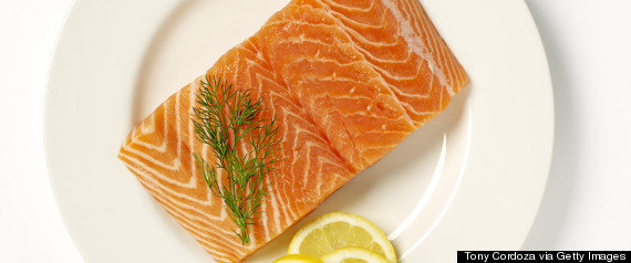 salmon